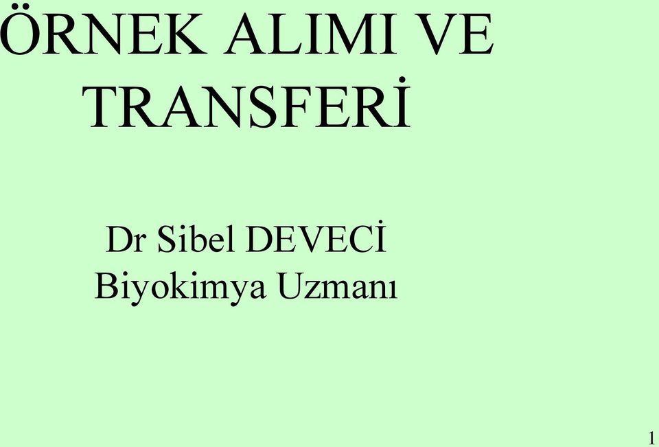 Sibel DEVECİ