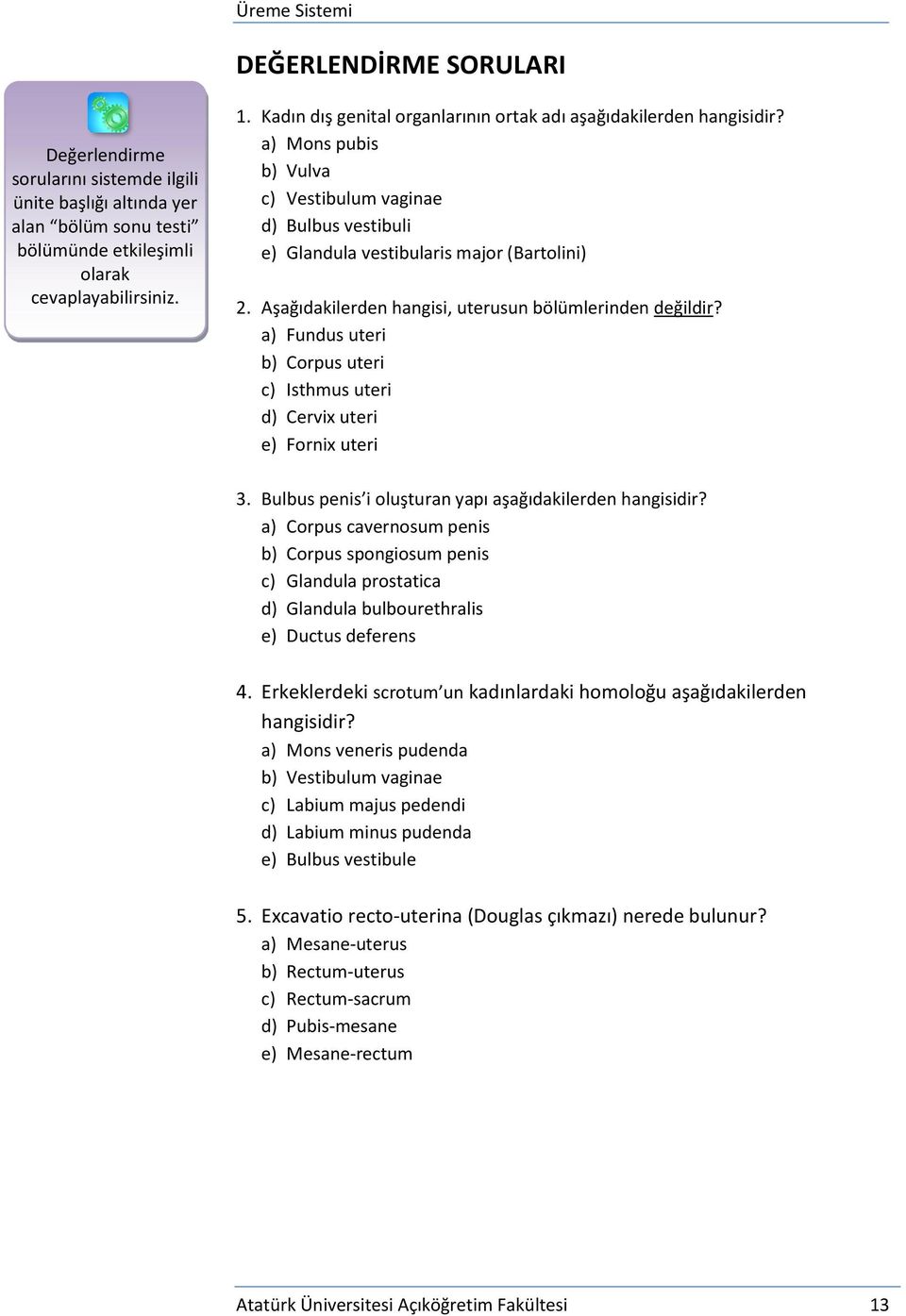 Aşağıdakilerden hangisi, uterusun bölümlerinden değildir? a) Fundus uteri b) Corpus uteri c) Isthmus uteri d) Cervix uteri e) Fornix uteri 3. Bulbus penis i oluşturan yapı aşağıdakilerden hangisidir?