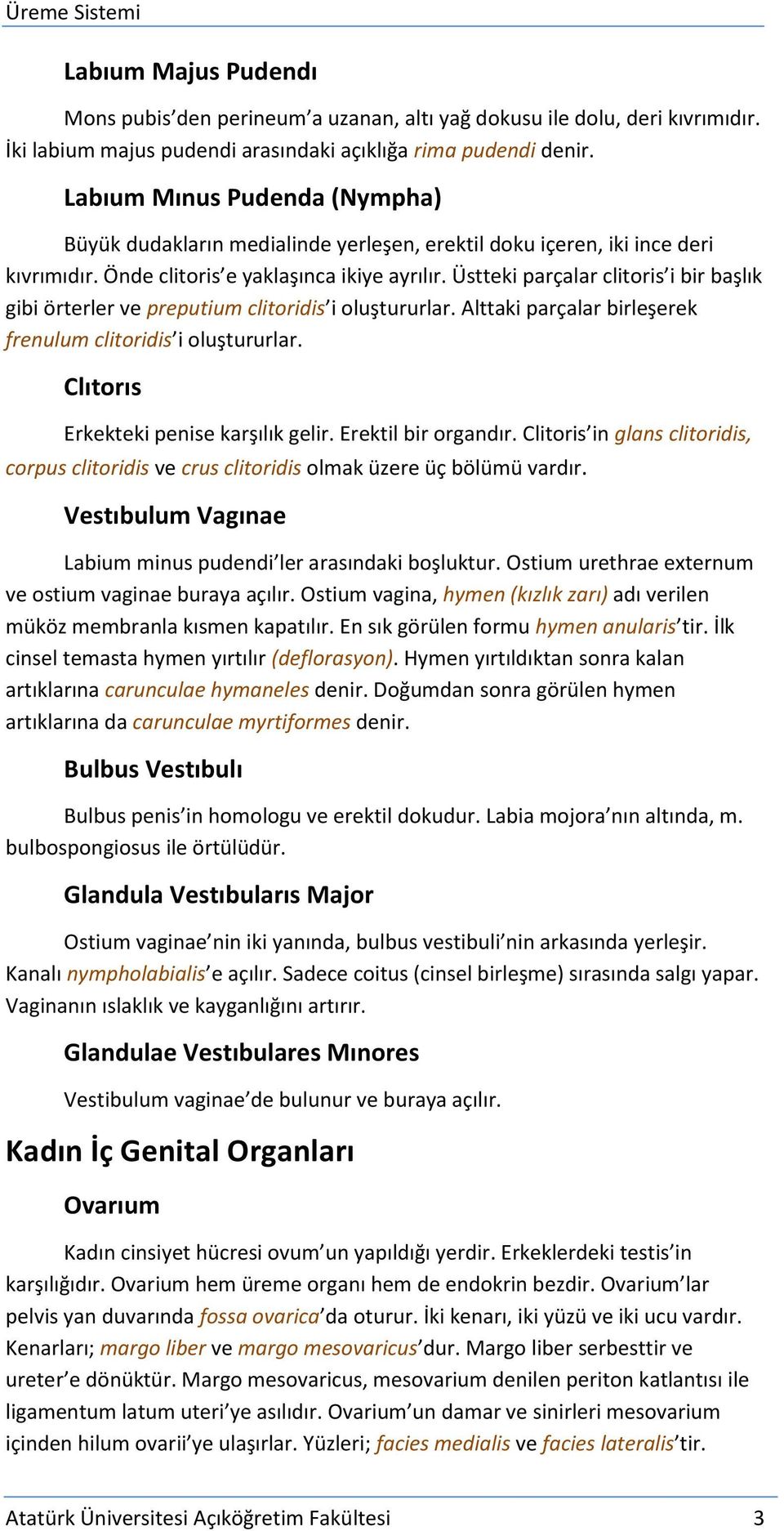 Üstteki parçalar clitoris i bir başlık gibi örterler ve preputium clitoridis i oluştururlar. Alttaki parçalar birleşerek frenulum clitoridis i oluştururlar. Clıtorıs Erkekteki penise karşılık gelir.