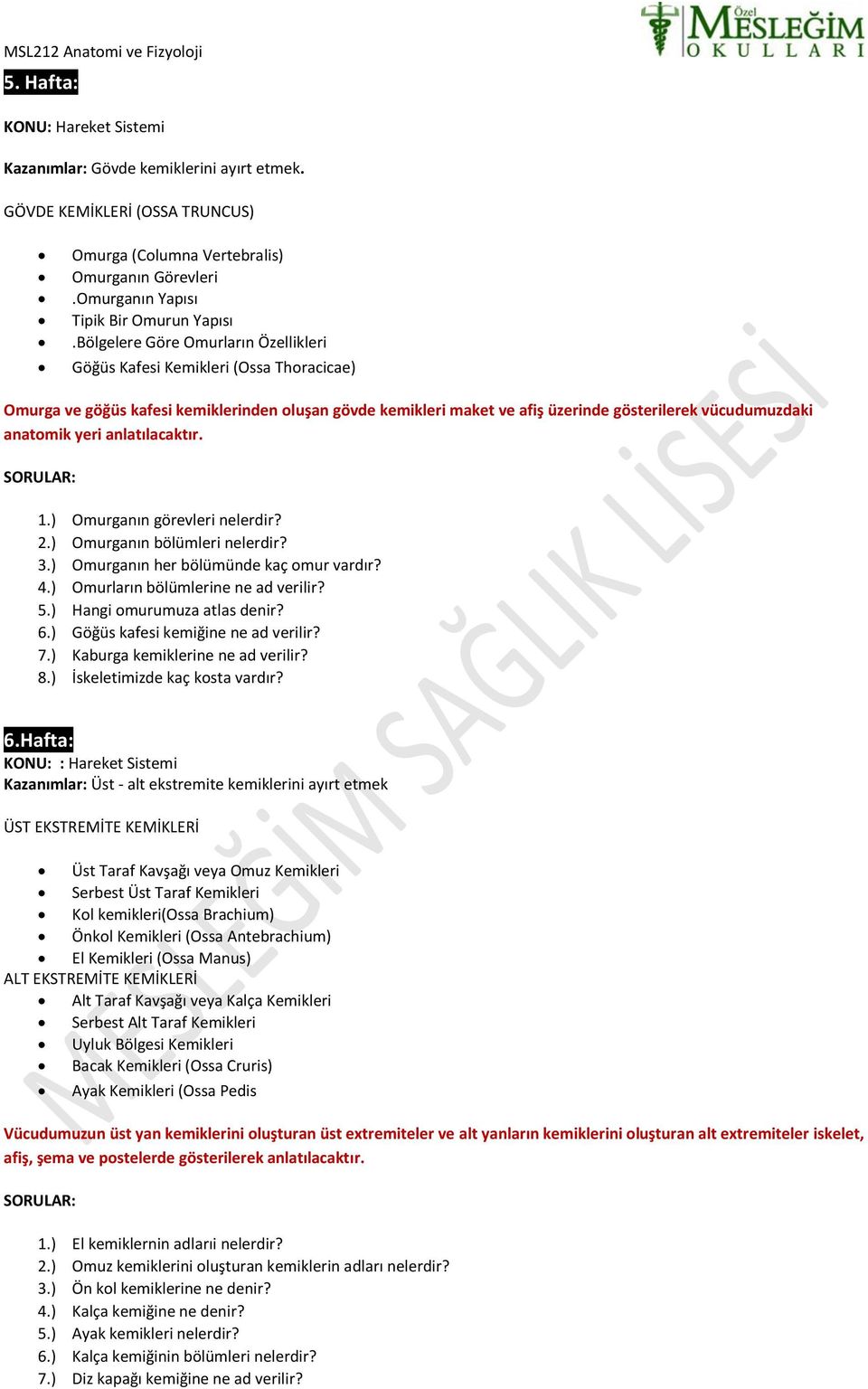 yeri anlatılacaktır. 1.) Omurganın görevleri nelerdir? 2.) Omurganın bölümleri nelerdir? 3.) Omurganın her bölümünde kaç omur vardır? 4.) Omurların bölümlerine ne ad verilir? 5.