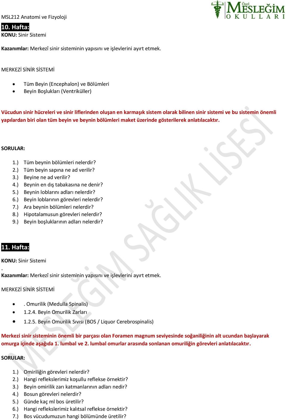 sistemin önemli yapılardan biri olan tüm beyin ve beynin bölümleri maket üzerinde gösterilerek anlatılacaktır. 1.) Tüm beynin bölümleri nelerdir? 2.) Tüm beyin sapına ne ad verilir? 3.