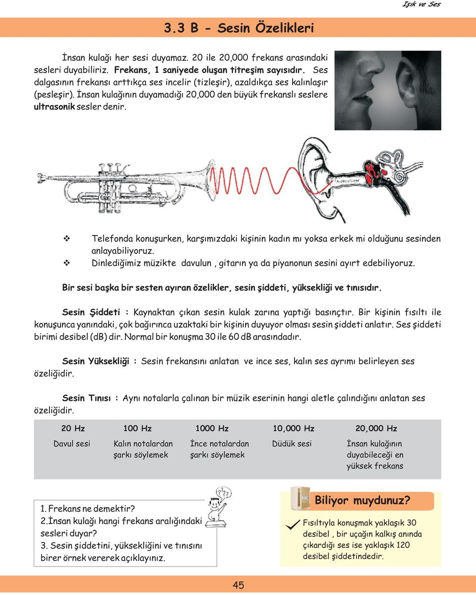 Telefonda konuşurken, karşımızdaki kişinin kadın mı yoksa erkek mi olduğunu sesinden anlayabiliyoruz. Dinlediğimiz müzikte davulun, gitarın ya da piyanonun sesini ayırt edebiliyoruz.