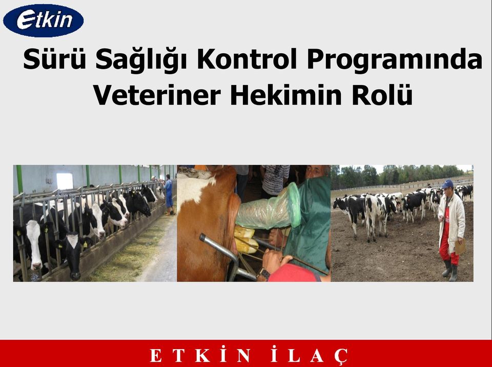 Programında