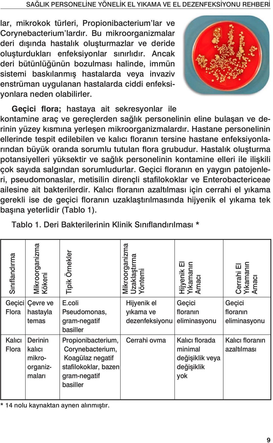 Geçici flora; hastaya ait sekresyonlar ile kontamine araç ve gereçlerden sağlık personelinin eline bulaşan ve derinin yüzey kısmına yerleşen mikroorganizmalardır.