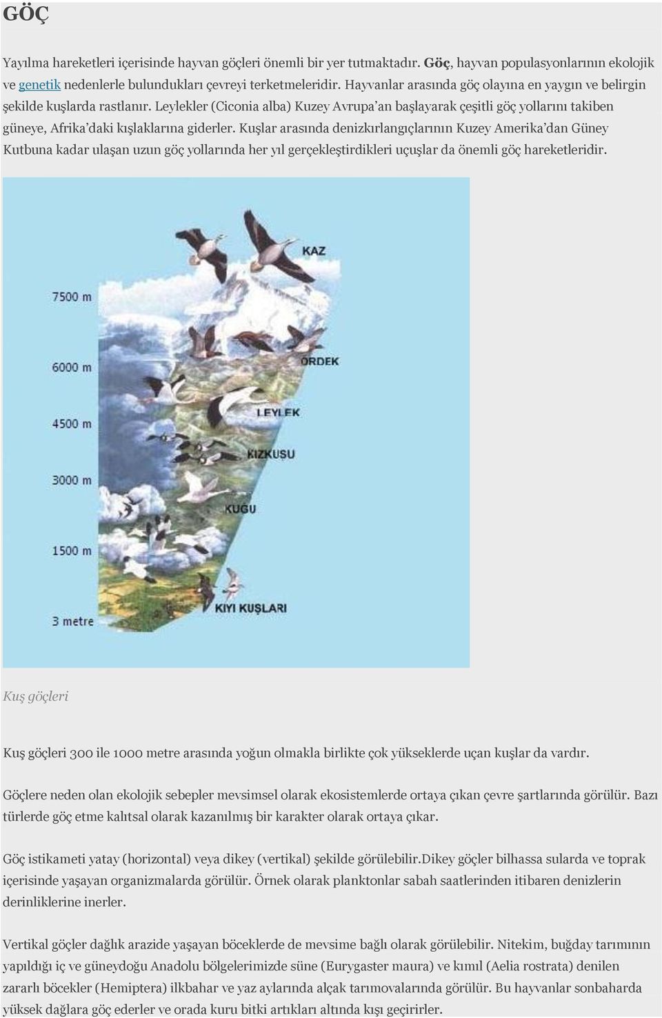 Leylekler (Ciconia alba) Kuzey Avrupa an başlayarak çeşitli göç yollarını takiben güneye, Afrika daki kışlaklarına giderler.