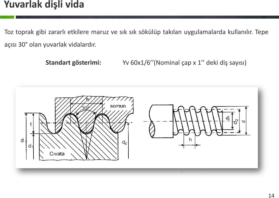 kullanılır. Tepe açısı 30 olan yuvarlak vidalardır.