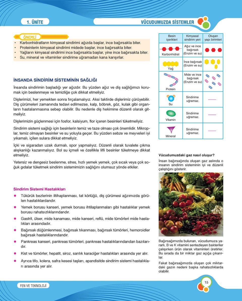 Besin içerikleri Karbonhidrat Yağ Kimyasal sindirim yeri Ağız ve ince bağırsak (Enzim ve su) İnce bağırsak (Enzim ve su) Oluşan yapı birimleri İNSANDA SİNDİRİM SİSTEMİNİN SAĞLIĞI İnsanda sindirimin