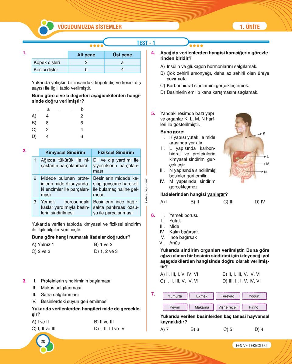 a b A) 4 2 B) 8 6 C) 2 4 D) 4 6 Kimyasal Sindirim 1 Ağızda tükürük ile nişastanın parçalanması 2 Midede bulunan proteinlerin mide özsuyundaki enzimler ile parçalanması 3 Yemek borusundaki kaslar