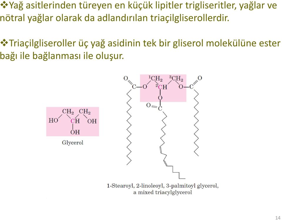 adlandırılan triaçilgliserollerdir.