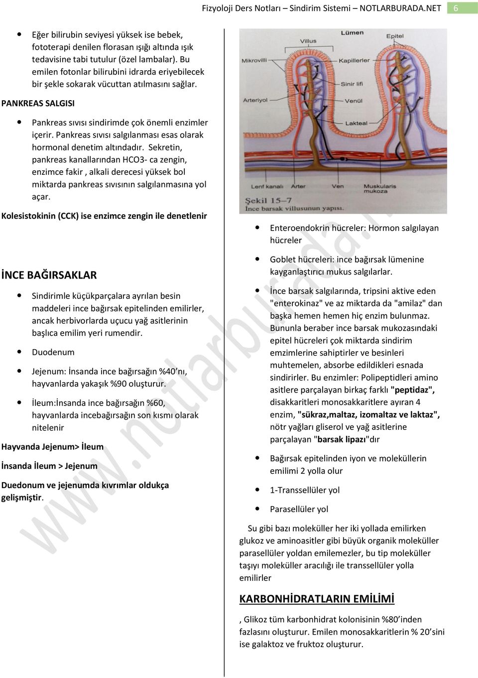 Pankreas sıvısı salgılanması esas olarak hormonal denetim altındadır.