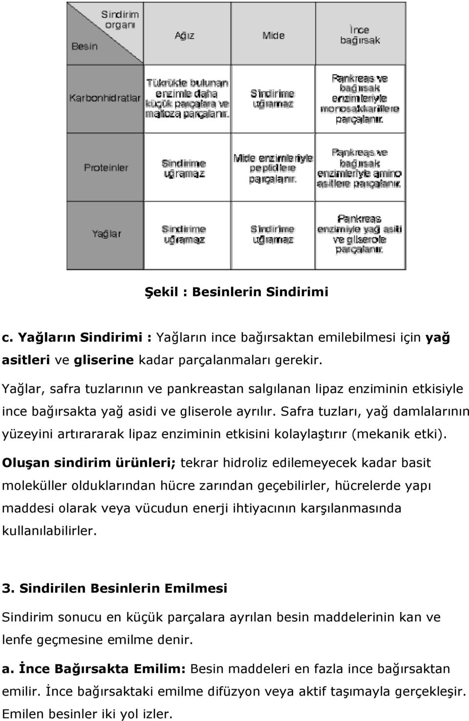 Safra tuzları, yağ damlalarının yüzeyini artırararak lipaz enziminin etkisini kolaylaştırır (mekanik etki).