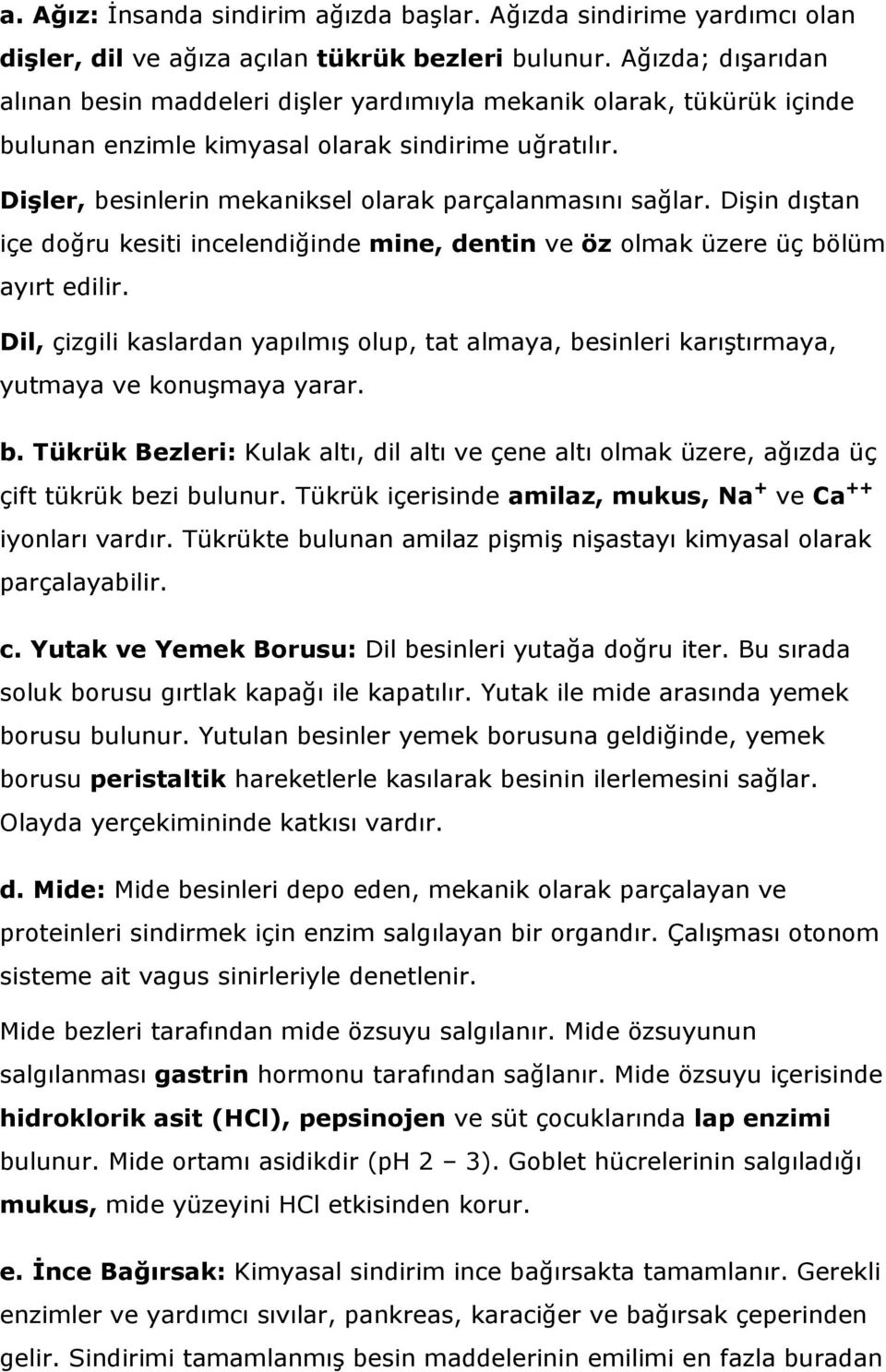 Dişler, besinlerin mekaniksel olarak parçalanmasını sağlar. Dişin dıştan içe doğru kesiti incelendiğinde mine, dentin ve öz olmak üzere üç bölüm ayırt edilir.