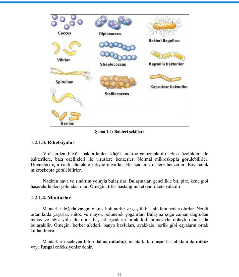 Bulaşmaları genellikle bit, pire, kene gibi haşerelerle deri yolundan olur. Örneğin, tifüs hastalığının etkeni riketsiyalardır. 1.2.1.4.