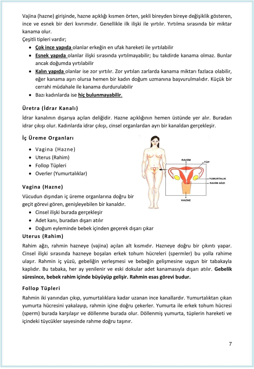 Çeşitli tipleri vardır; Çok ince yapıda olanlar erkeğin en ufak hareketi ile yırtılabilir Esnek yapıda olanlar ilişki sırasında yırtılmayabilir; bu takdirde kanama olmaz.