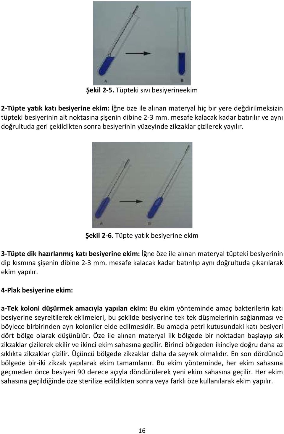 Tüpte yatık besiyerine ekim 3-Tüpte dik hazırlanmış katı besiyerine ekim: İğne öze ile alınan materyal tüpteki besiyerinin dip kısmına şişenin dibine 2-3 mm.