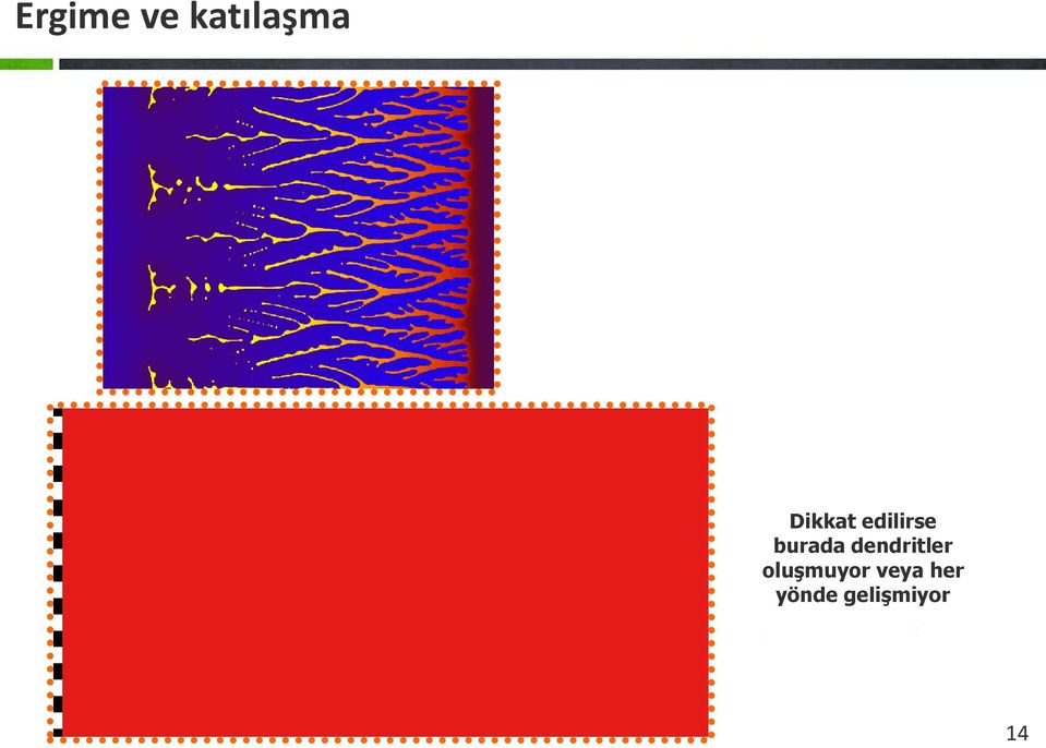 dendritler oluşmuyor