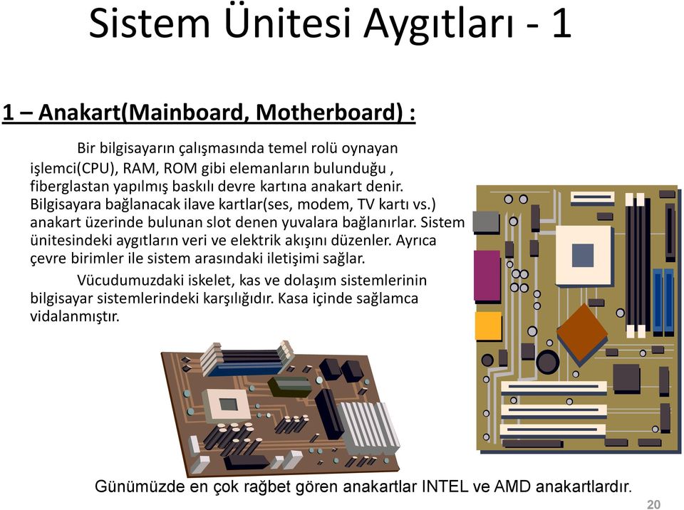 ) anakart üzerinde bulunan slot denen yuvalara bağlanırlar. Sistem ünitesindeki aygıtların veri ve elektrik akışını düzenler.