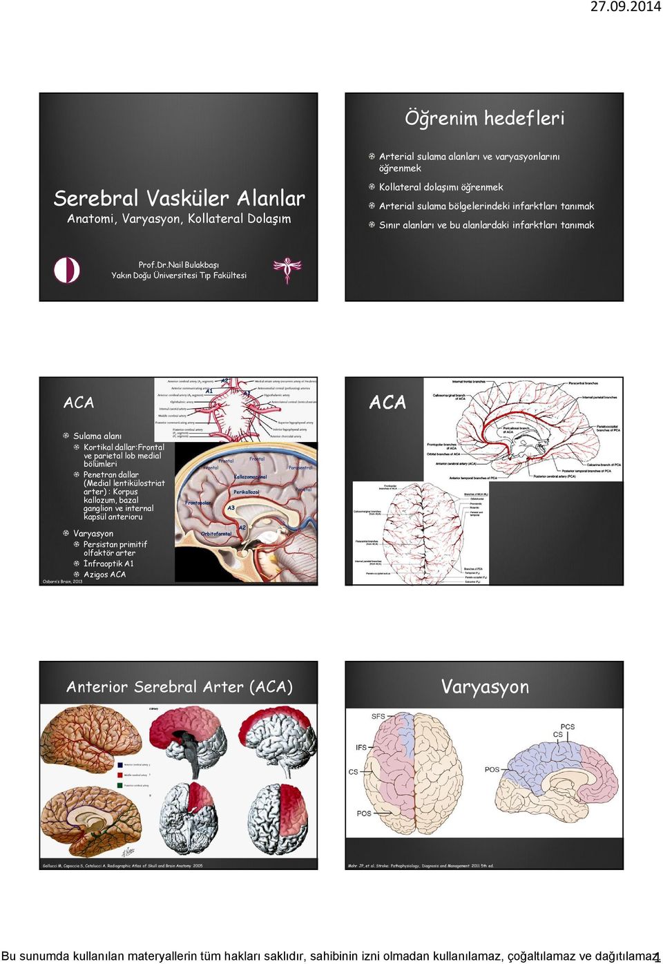 Nail Bulakbaşı Yakın Doğu Üniversitesi Tıp Fakültesi A2 ACA A1 A1 ACA Osborn s Brain, 2013 Sulama alanı Kortikal dallar:frontal ve parietal lob medial bölümleri Penetran dallar (Medial