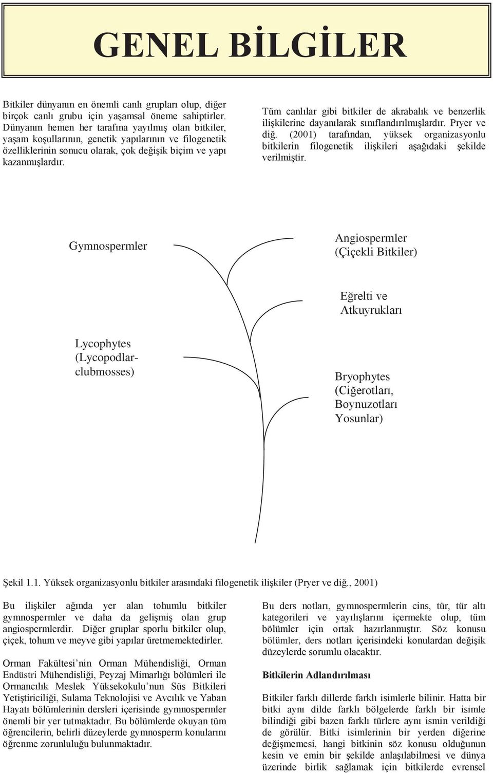 Lycophytes (Lycopodlarclubmosses)