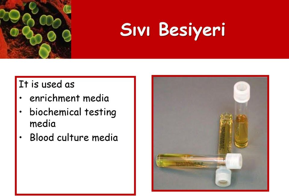 media biochemical