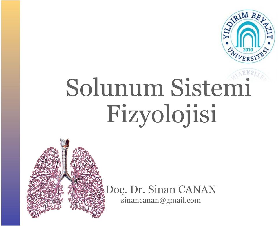 Dr. Sinan CANAN