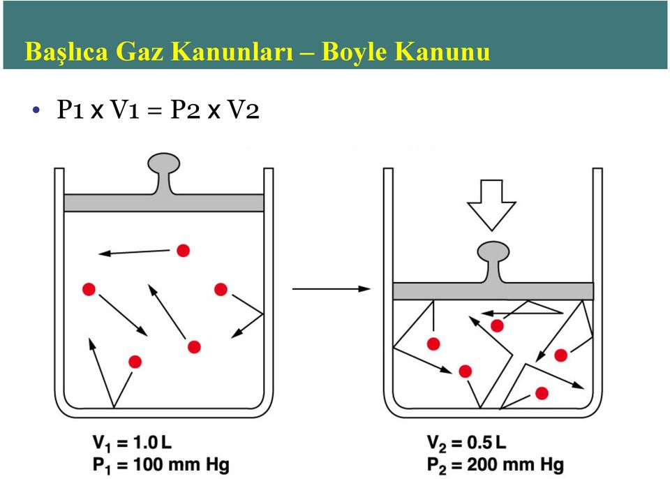 Boyle Kanunu