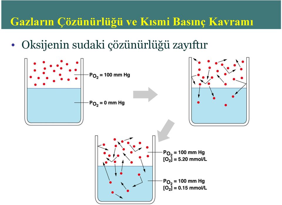 Kavramı Oksijenin