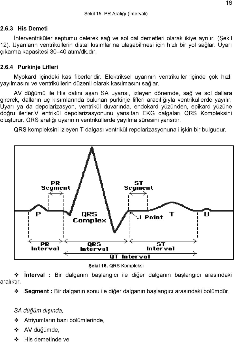 Elektriksel uyarının ventriküller içinde çok hızlı yayılmasını ve ventriküllerin düzenli olarak kasılmasını sağlar.