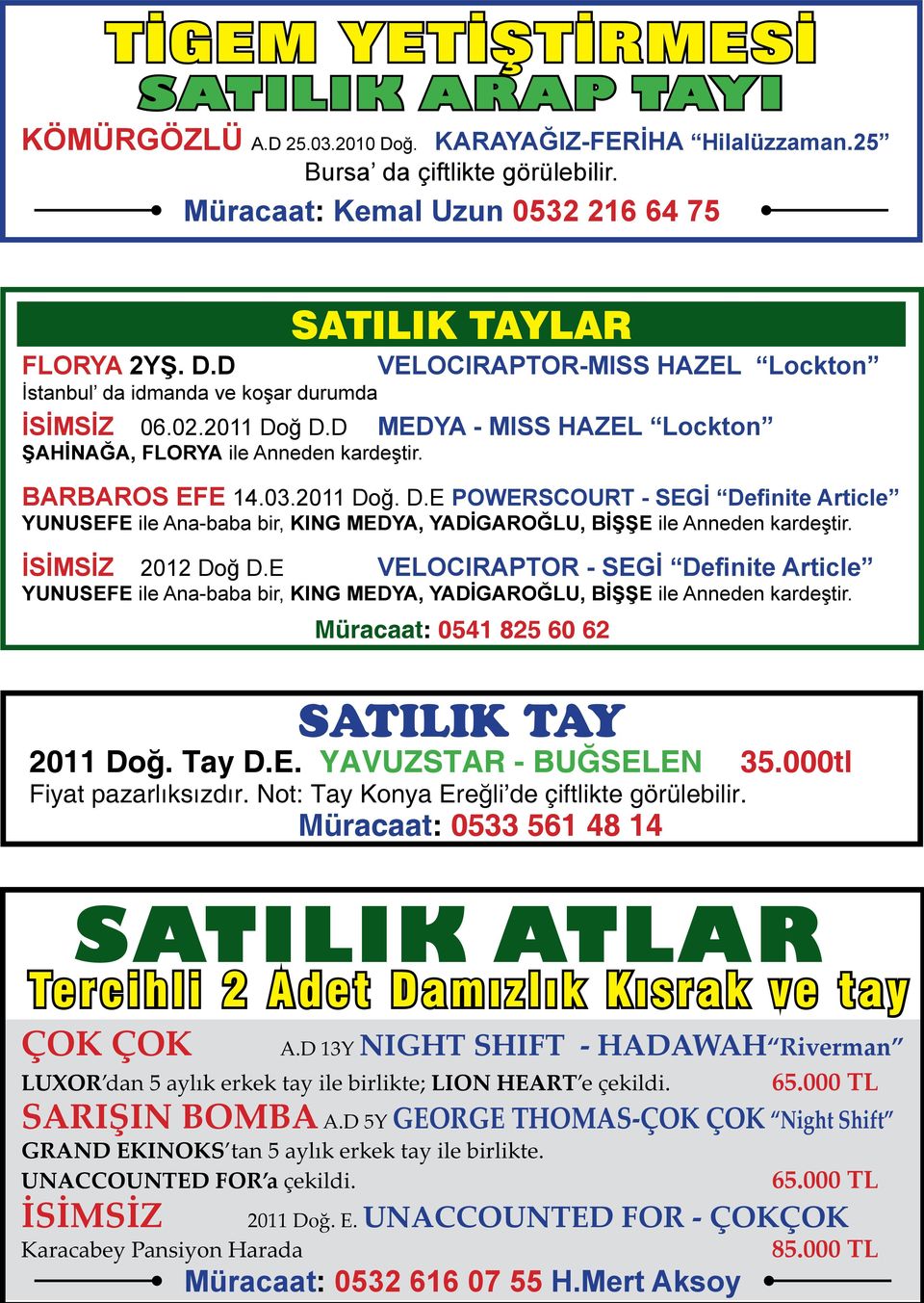 İSİMSİZ 2012 Doğ D.E VELOCIRAPTOR - SEGİ Definite Article YUNUSEFE ile Ana-baba bir, KING MEDYA, YADİGAROĞLU, BİŞŞE ile Anneden kardeştir. Müracaat: 0541 825 60 62 SATILIK TAY 2011 Doğ. Tay D.E. YAVUZSTAR - BUĞSELEN 35.