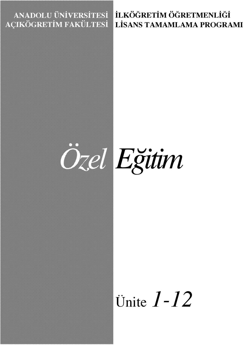 İLKÖĞRETİM ÖĞRETMENLİĞİ