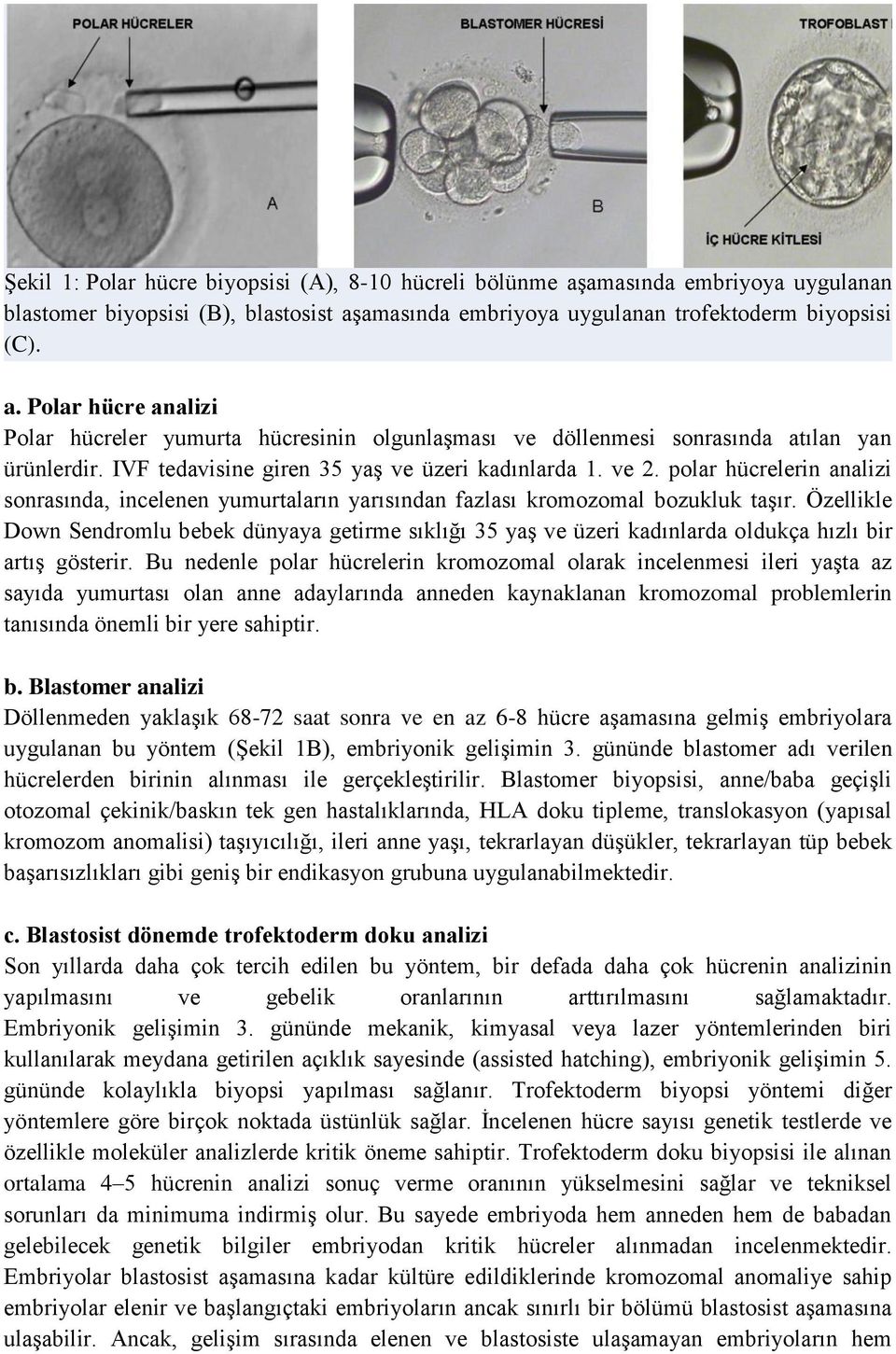 Özellikle Down Sendromlu bebek dünyaya getirme sıklığı 35 yaş ve üzeri kadınlarda oldukça hızlı bir artış gösterir.