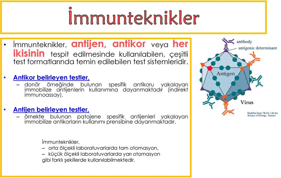 Antikor belirleyen testler, Antijen belirleyen testler, donör örneğinde bulunan spesifik antikoru yakalayan immobilize antijenlerin kullanımına