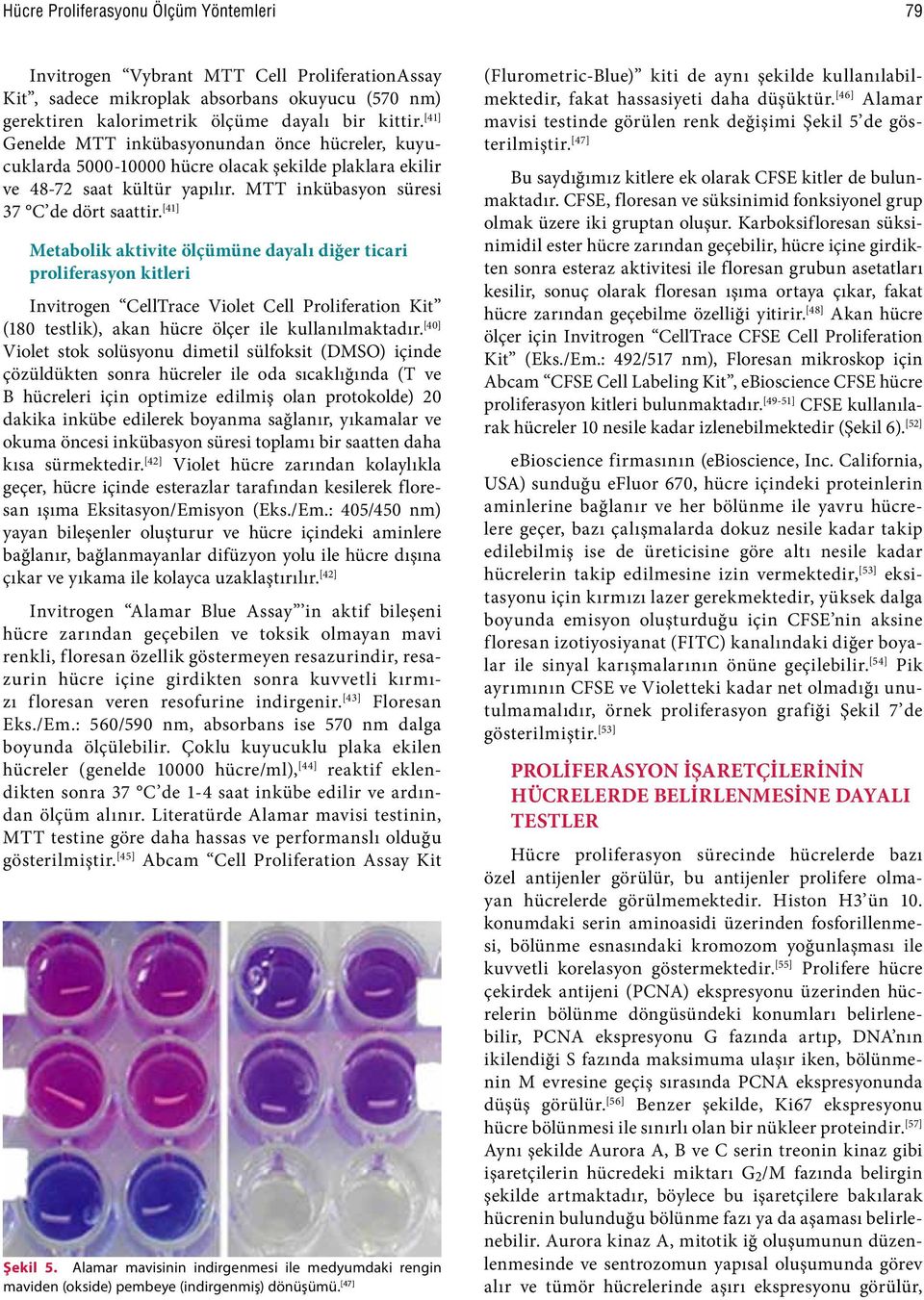 [41] Metabolik aktivite ölçümüne dayalı diğer ticari proliferasyon kitleri Invitrogen elltrace Violet ell Proliferation Kit (180 testlik), akan hücre ölçer ile kullanılmaktadır.