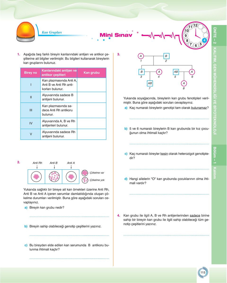 Kan plazmasında sadece nti Rh antikoru bulunur. lyuvarında, B ve Rh antijenleri bulunur. lyuvarında sadece Rh antijeni bulunur. nti Rh nti B nti Kan grubu : Çökelme var : Çökelme yok Mini Sınav.