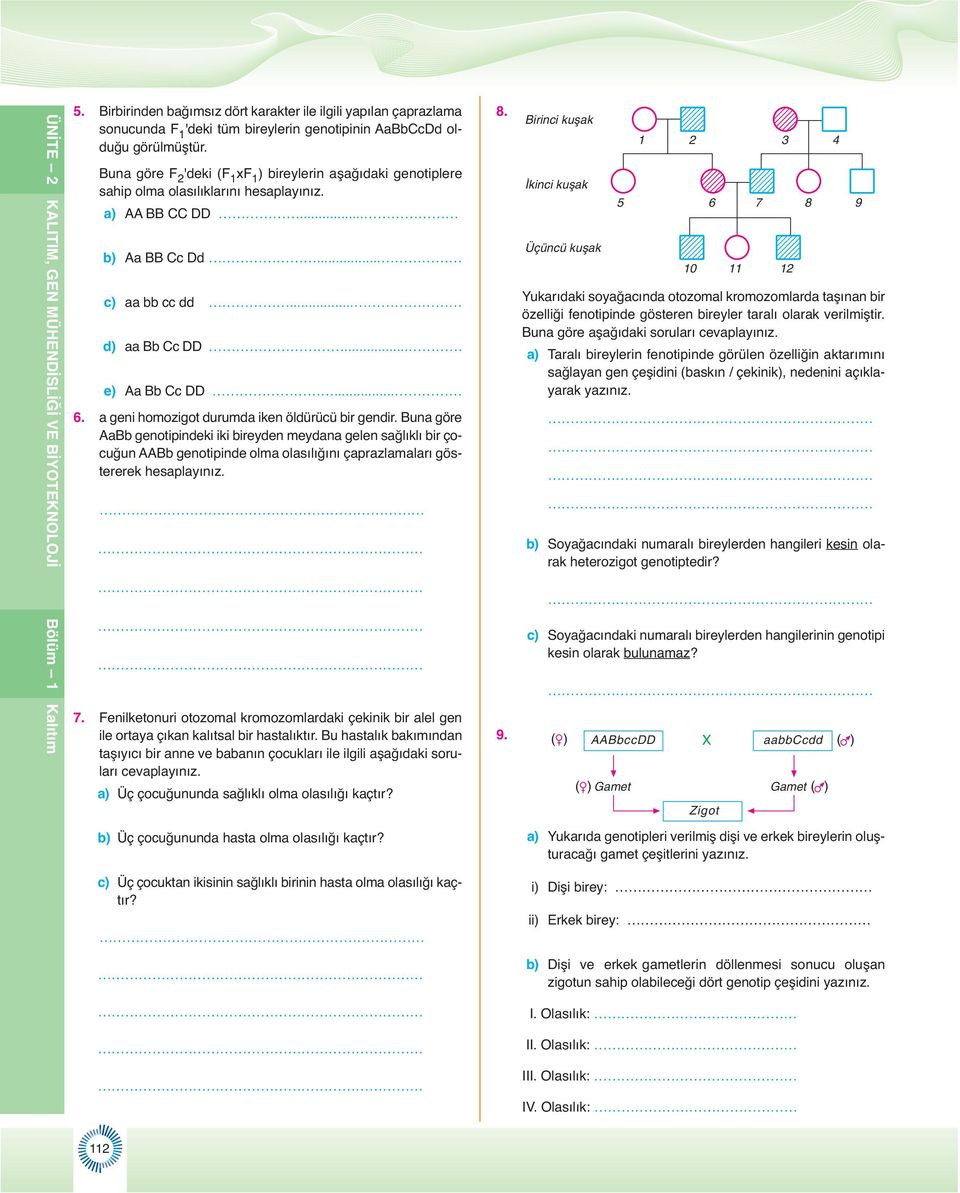 Buna göre F 'deki (F xf ) bireylerin aşağıdaki genotiplere sahip olma olasılıklarını hesaplayınız. a) BB CC DD... b) a BB Cc Dd... c) aa bb cc dd... d) aa Bb Cc DD... e) a Bb Cc DD... 6.