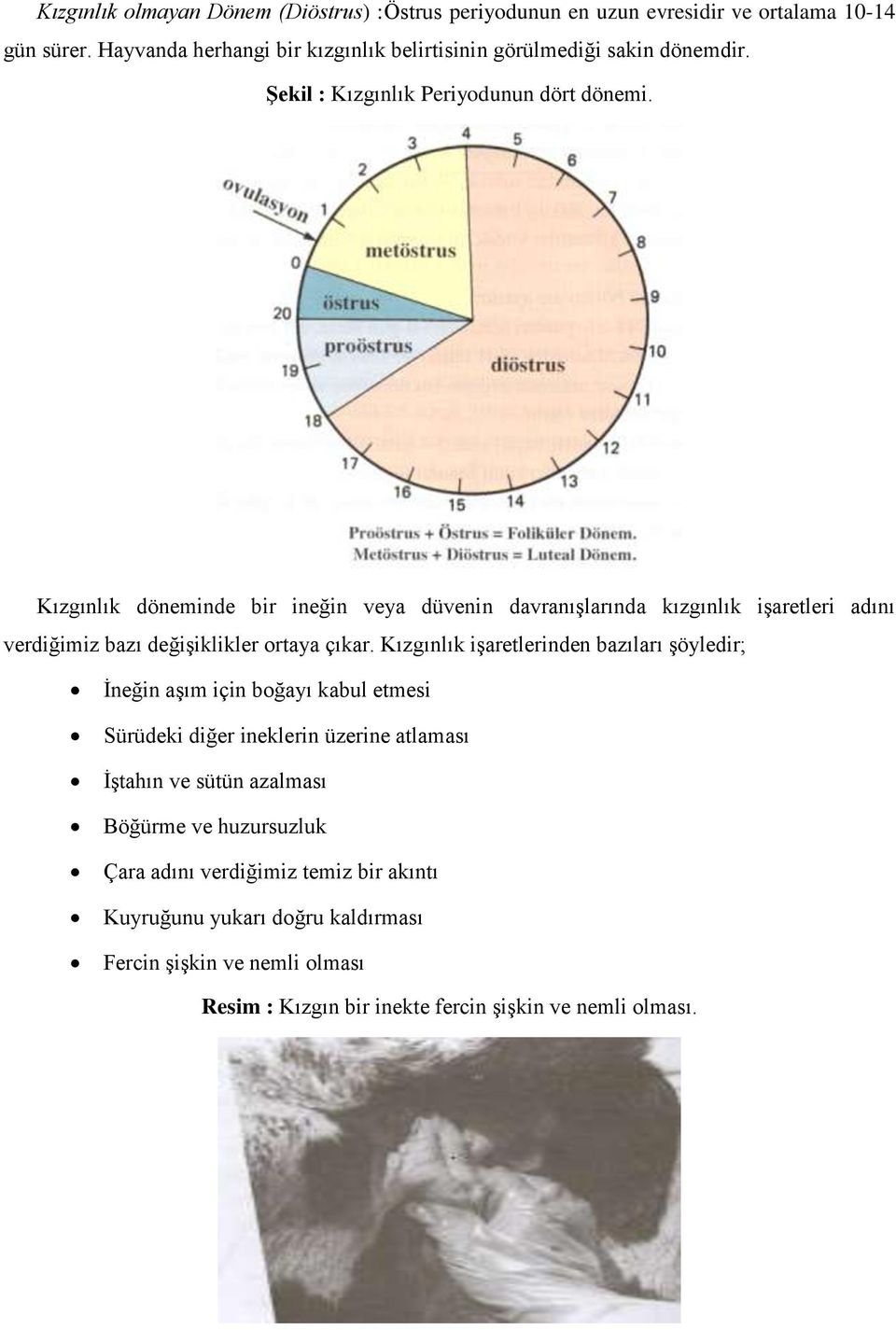 Kızgınlık döneminde bir ineğin veya düvenin davranışlarında kızgınlık işaretleri adını verdiğimiz bazı değişiklikler ortaya çıkar.