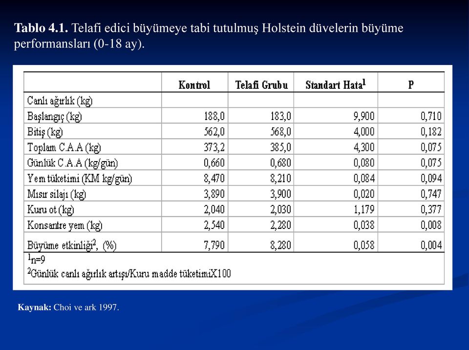 tutulmuş Holstein düvelerin