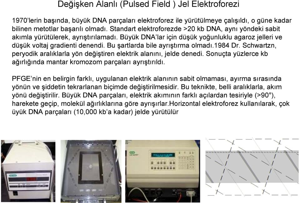 Bu şartlarda bile ayrıştırma olmadı.1984 Dr. Schwartzn, peryodik aralıklarla yön değiştiren elektrik alanını, jelde denedi. Sonuçta yüzlerce kb ağırlığında mantar kromozom parçaları ayrıştırıldı.