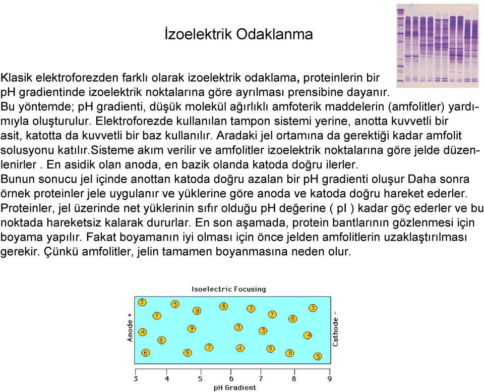 Elektroforezde kullanılan tampon sistemi yerine, anotta kuvvetli bir asit, katotta da kuvvetli bir baz kullanılır. Aradaki jel ortamına da gerektiği kadar amfolit solusyonu katılır.