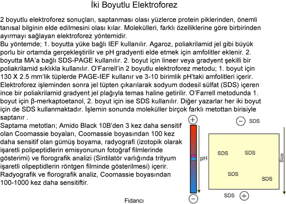 Agaroz, poliakrilamid jel gibi büyük porlu bir ortamda gerçekleştirilir ve ph gradyenti elde etmek için amfolitler eklenir. 2.