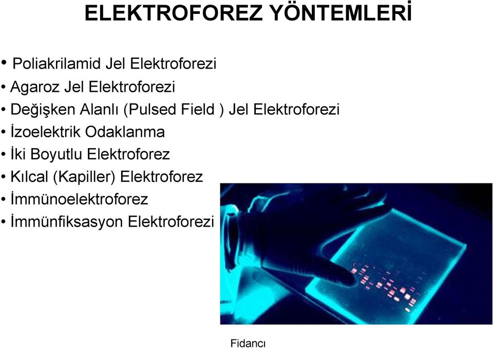 Elektroforezi Đzoelektrik Odaklanma Đki Boyutlu Elektroforez