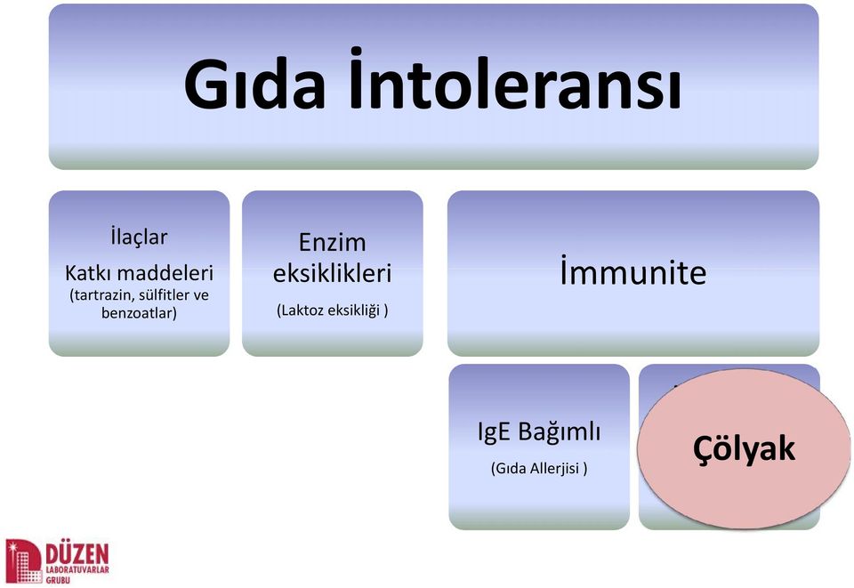 eksiklikleri İmmunite (Laktoz eksikliği ) IgE