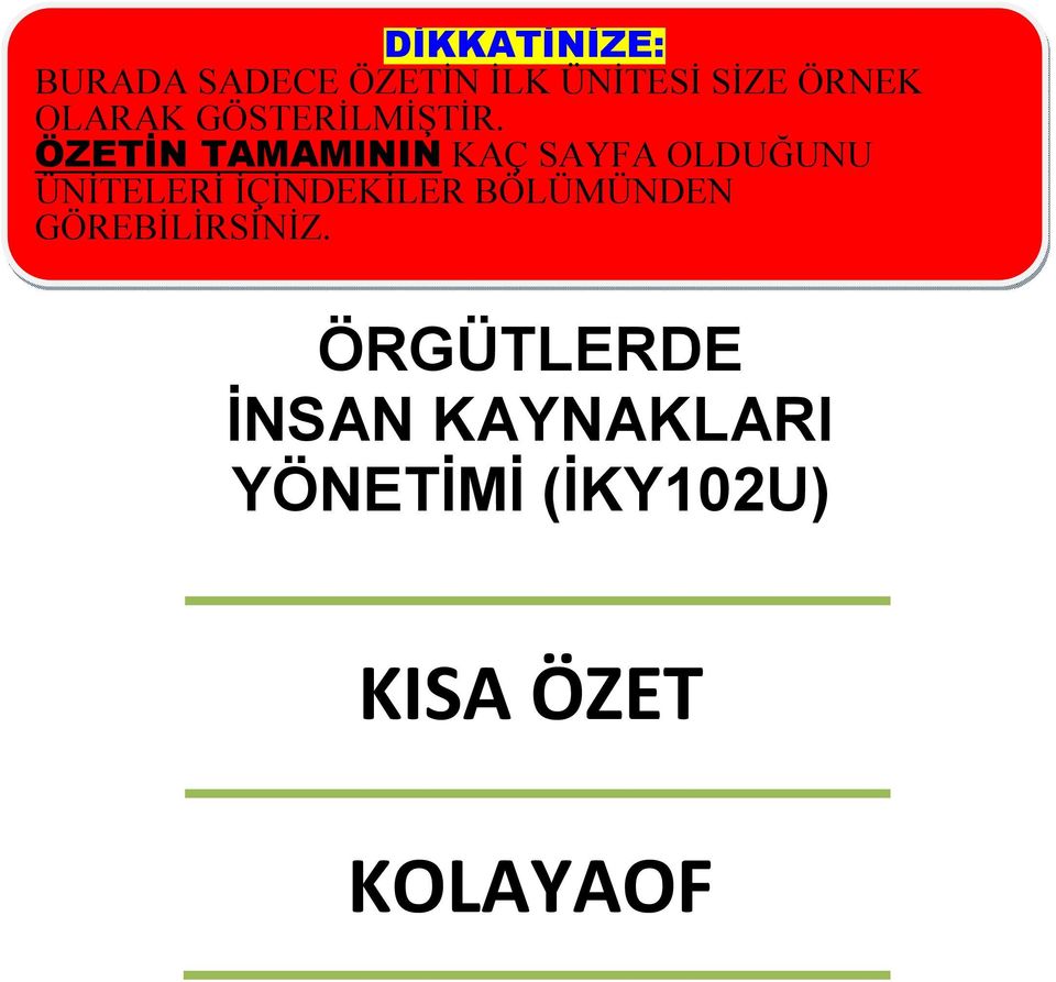 ÖZETİN TAMAMININ KAÇ SAYFA OLDUĞUNU ÜNİTELERİ İÇİNDEKİLER