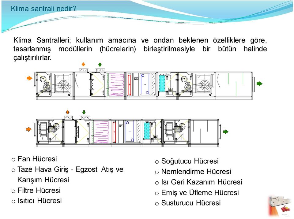 (hücrelerin) birleştirilmesiyle bir bütün halinde çalıştırılırlar.