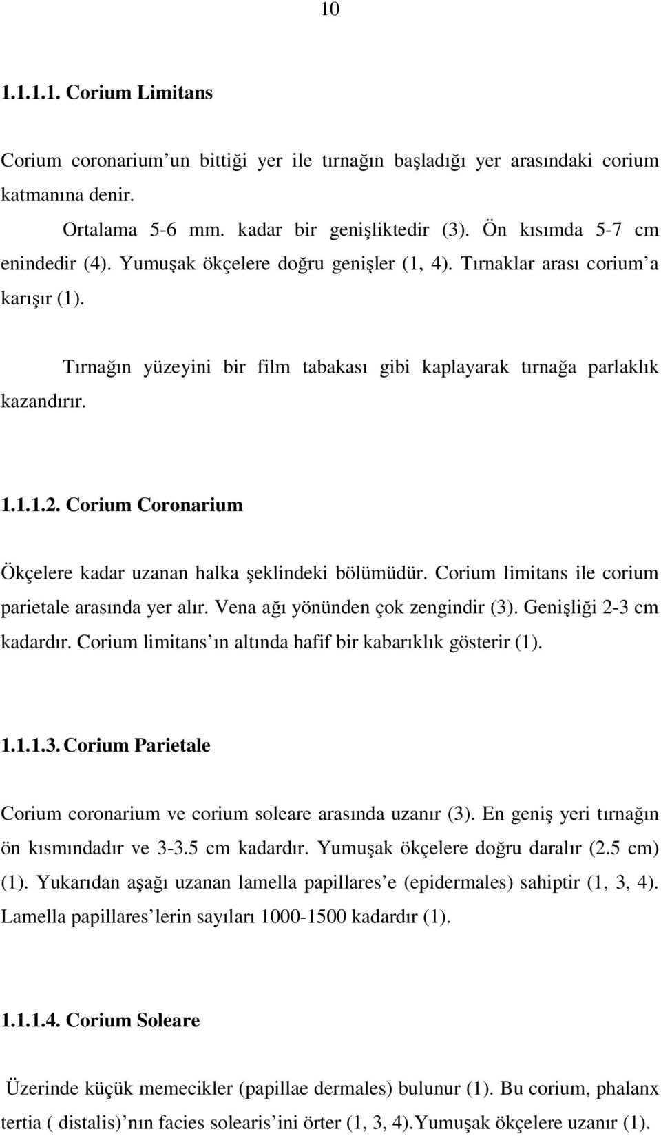 Corium Coronarium Ökçelere kadar uzanan halka şeklindeki bölümüdür. Corium limitans ile corium parietale arasında yer alır. Vena ağı yönünden çok zengindir (3). Genişliği 2-3 cm kadardır.