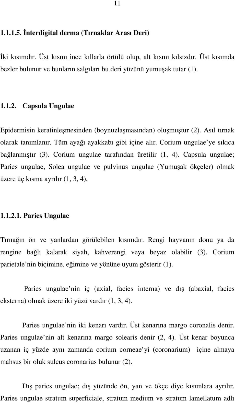 Asıl tırnak olarak tanımlanır. Tüm ayağı ayakkabı gibi içine alır. Corium ungulae ye sıkıca bağlanmıştır (3). Corium ungulae tarafından üretilir (1, 4).