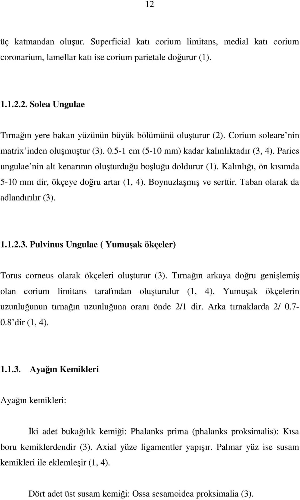 Kalınlığı, ön kısımda 5-10 mm dir, ökçeye doğru artar (1, 4). Boynuzlaşmış ve serttir. Taban olarak da adlandırılır (3). 1.1.2.3. Pulvinus Ungulae ( Yumuşak ökçeler) Torus corneus olarak ökçeleri oluşturur (3).