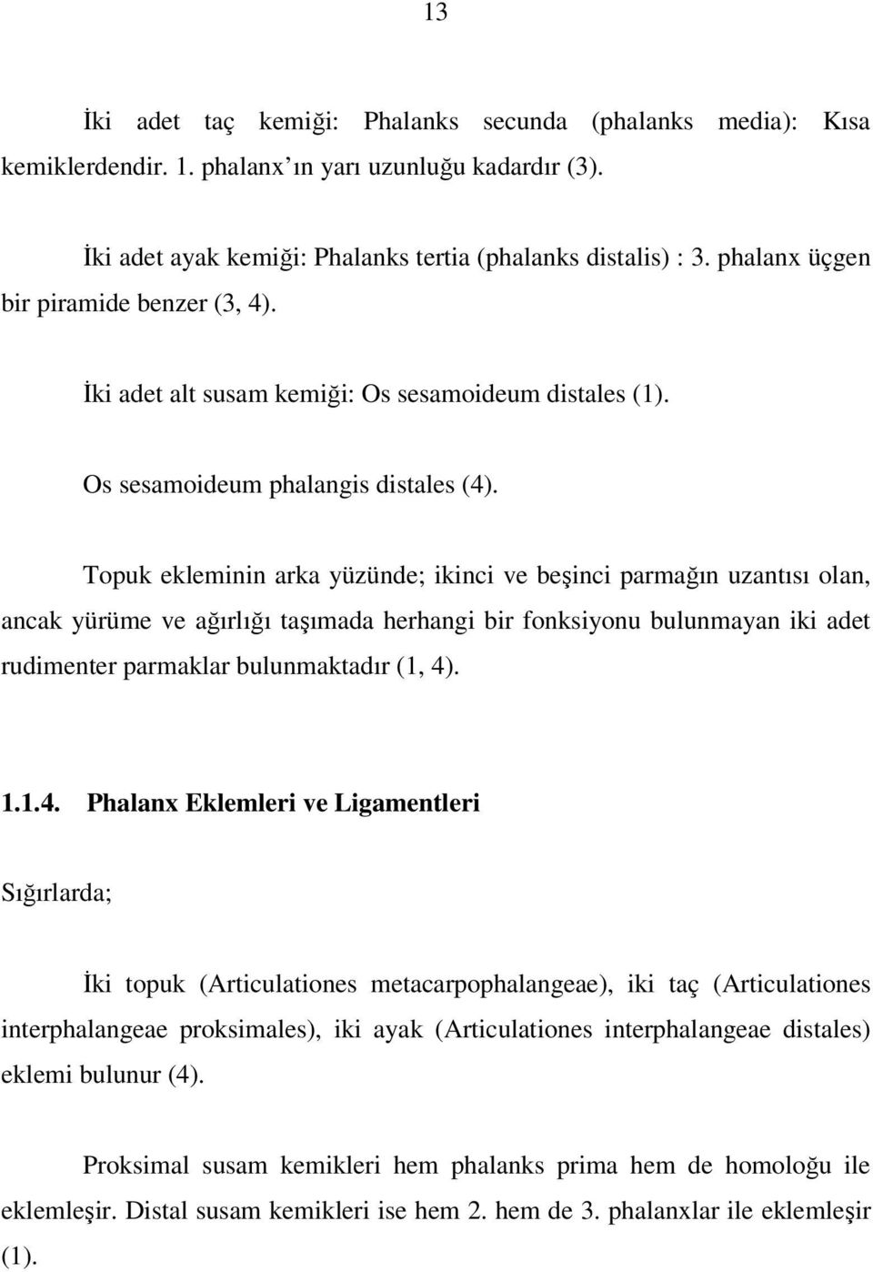 Topuk ekleminin arka yüzünde; ikinci ve beşinci parmağın uzantısı olan, ancak yürüme ve ağırlığı taşımada herhangi bir fonksiyonu bulunmayan iki adet rudimenter parmaklar bulunmaktadır (1, 4)