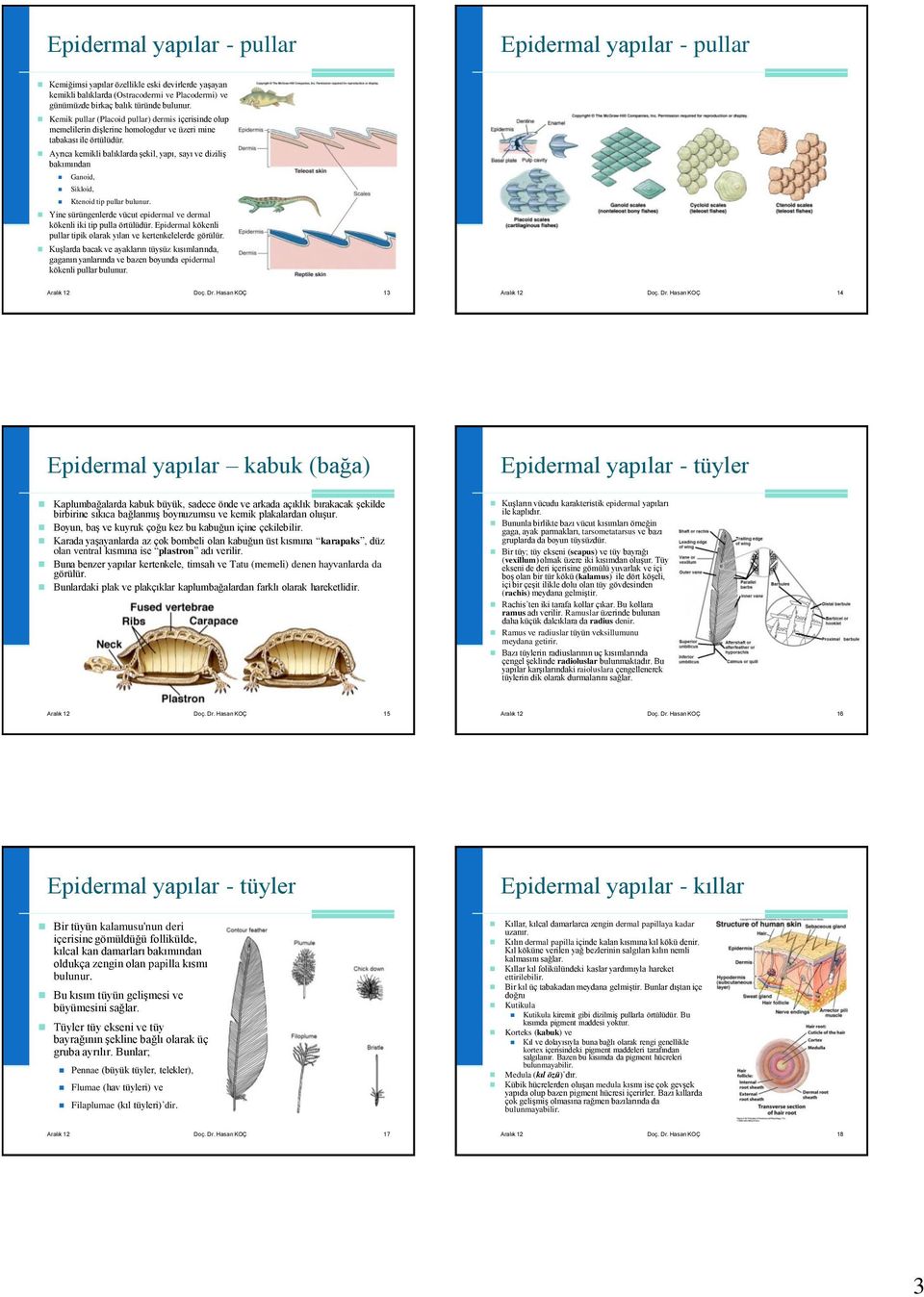 Ayrıca kemikli balıklarda şekil, yapı, sayı ve diziliş bakımından Ganoid, Sikloid, Ktenoid tip pullar bulunur. Yine sürüngenlerde vücut epidermal ve dermal kökenli iki tip pulla örtülüdür.