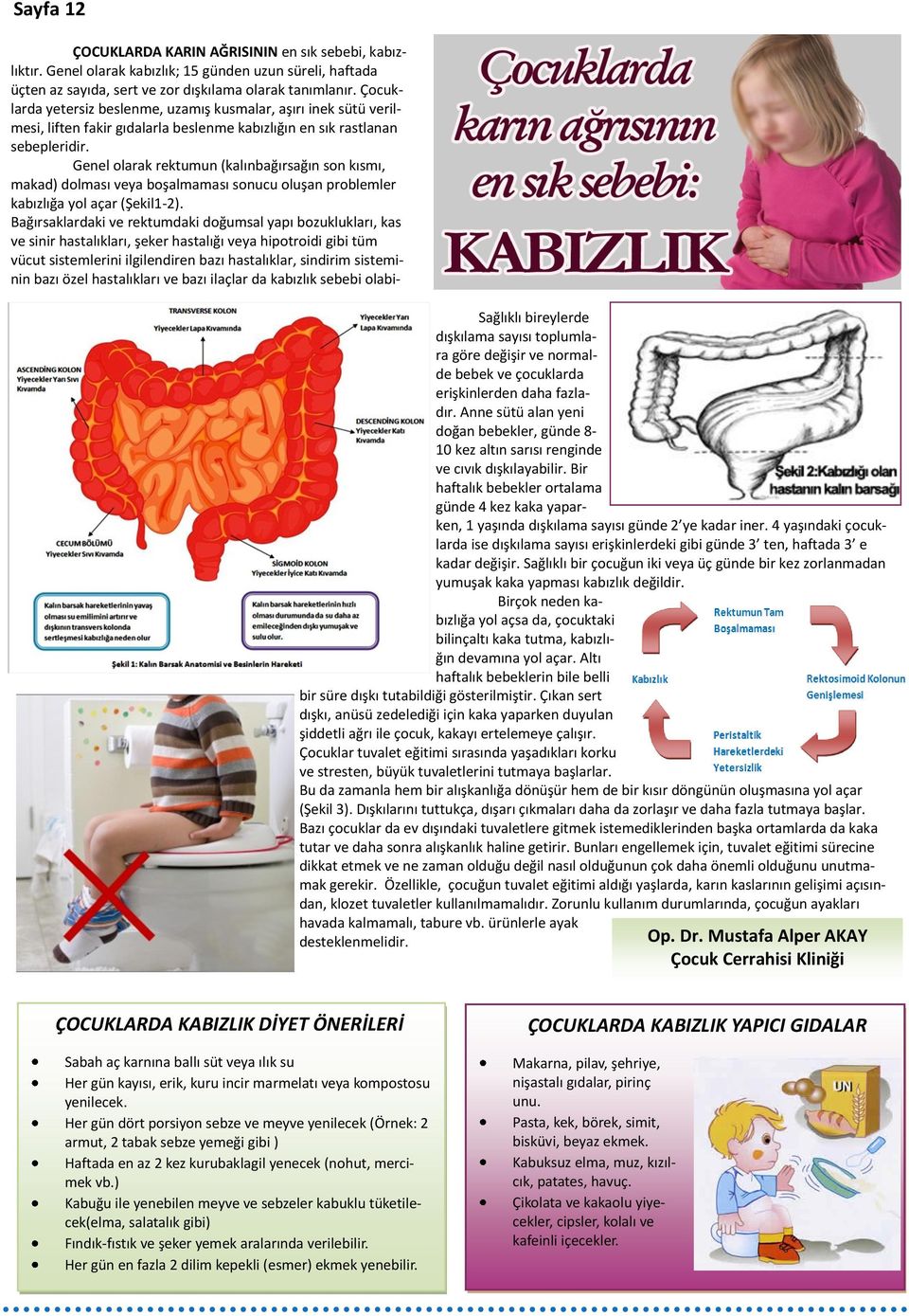 Genel olarak rektumun (kalınbağırsağın son kısmı, makad) dolması veya boşalmaması sonucu oluşan problemler kabızlığa yol açar (Şekil1-2).